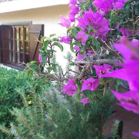 Porto Cervo Casa vacanze Baja Sardinia